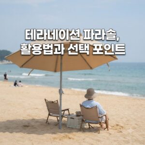 테라네이션 파라솔 설치 시기, 꼭 알아둬야 할 점