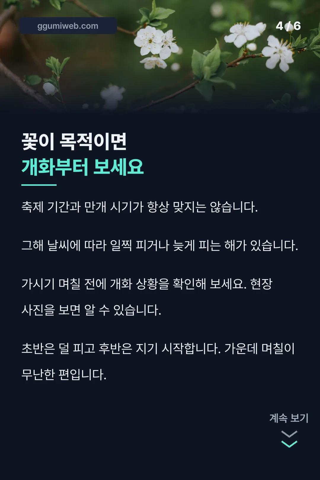 개화 시기 확인