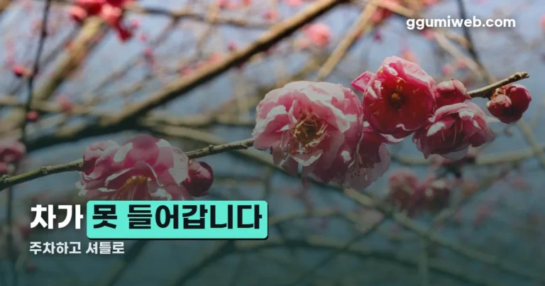 광양매화축제 정리 썸네일