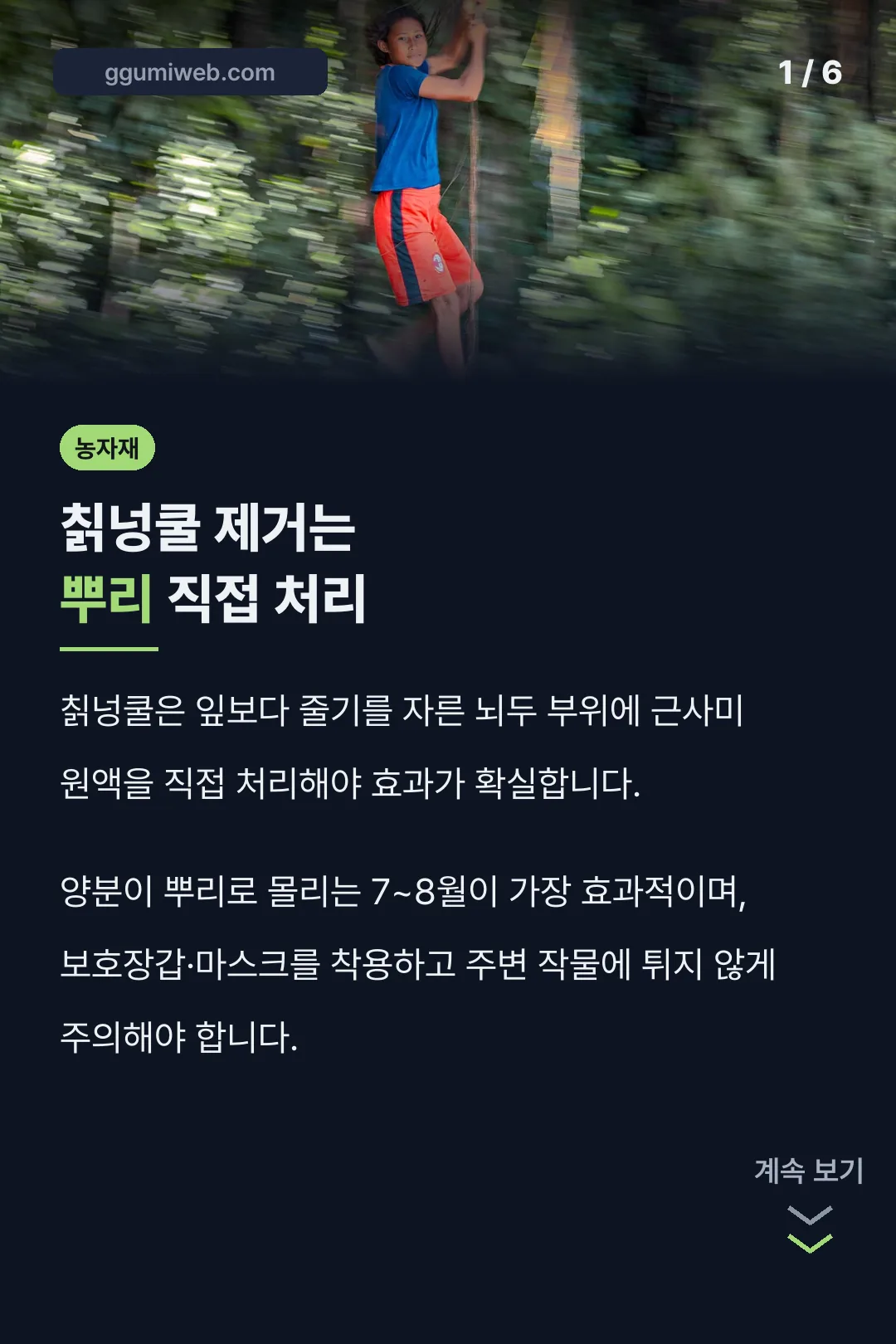 칡넝쿨 제거는 뿌리 직접 처리