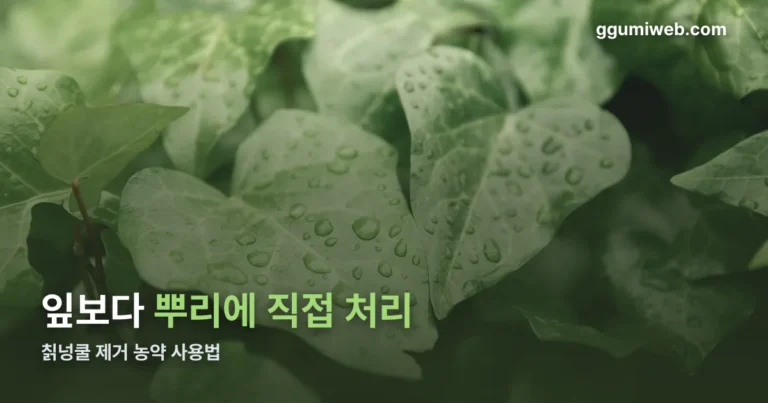 칡넝쿨 제거 농약 정리 썸네일
