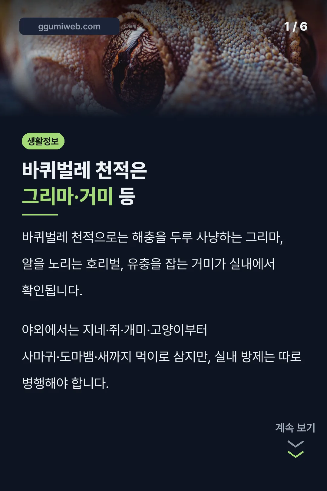바퀴벌레 천적은 그리마·거미 등