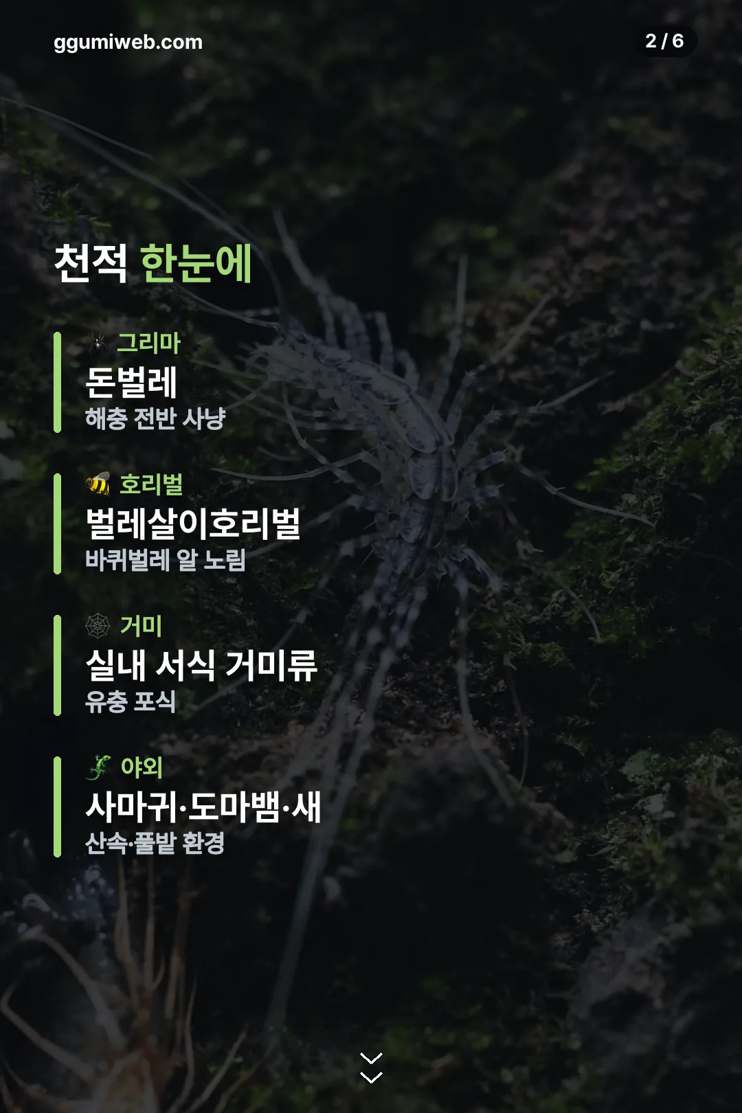 천적 한눈에 보기