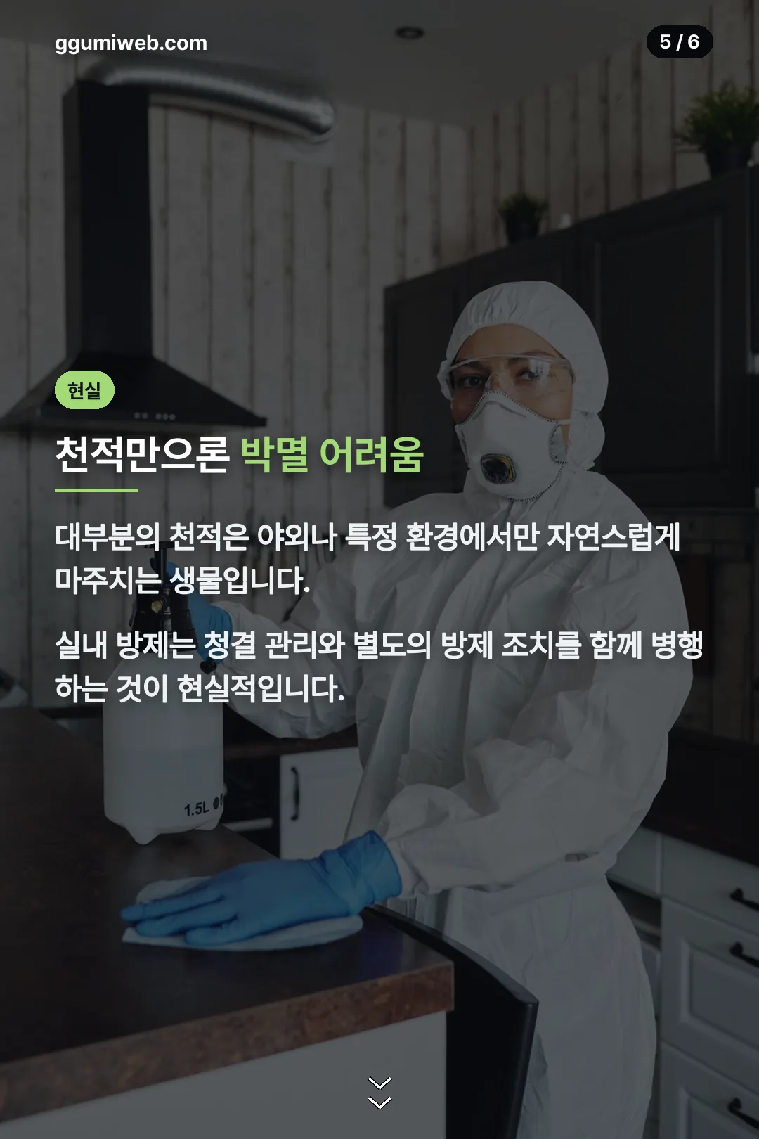 천적만으론 부족한 이유