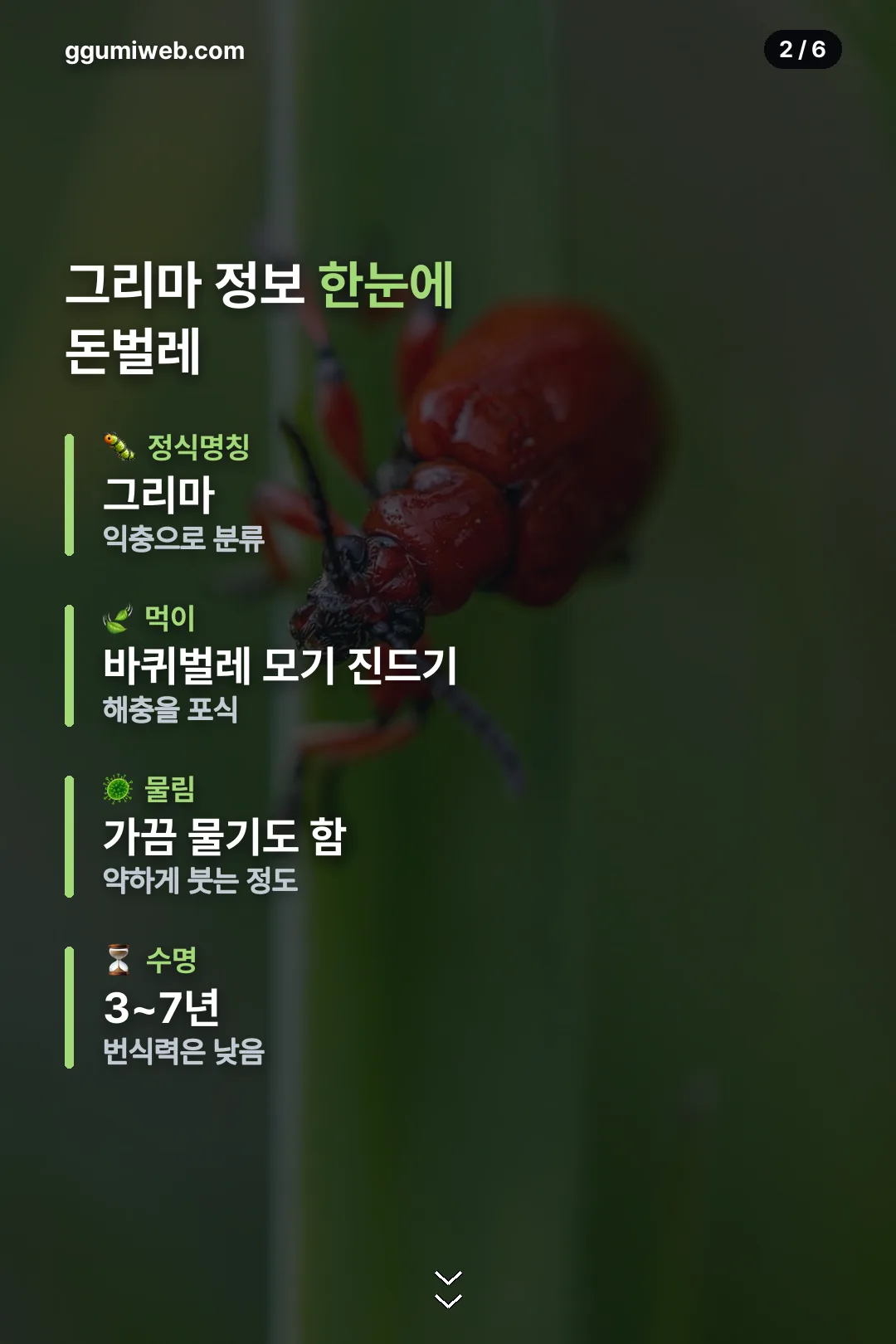 그리마 정보 한눈에