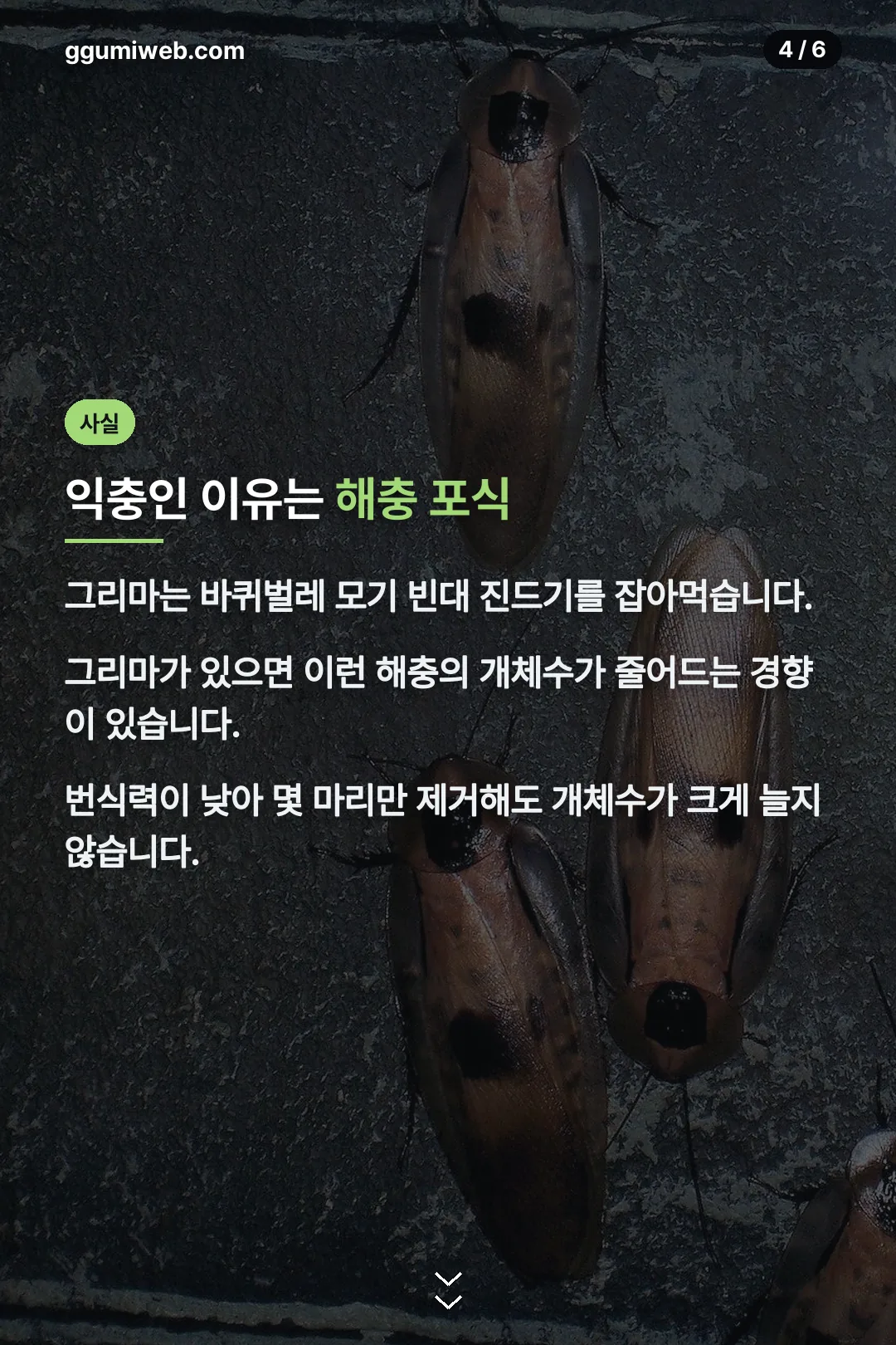 익충인 이유 설명