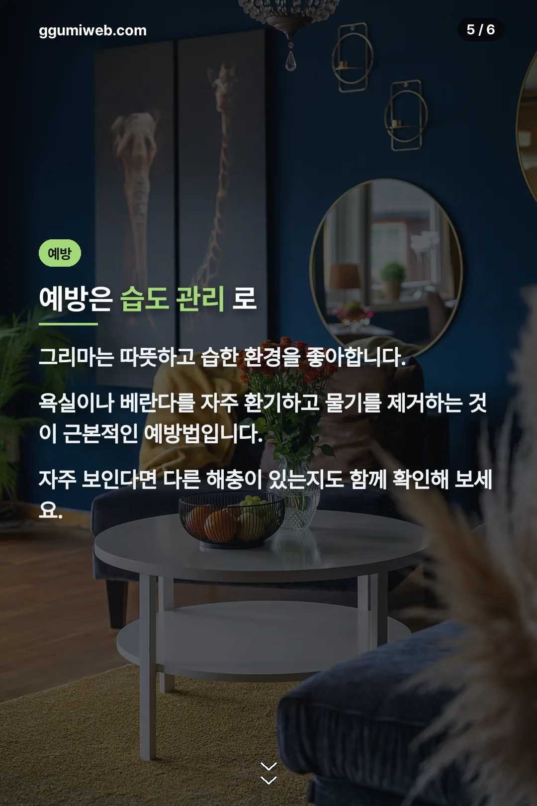 예방 방법 안내