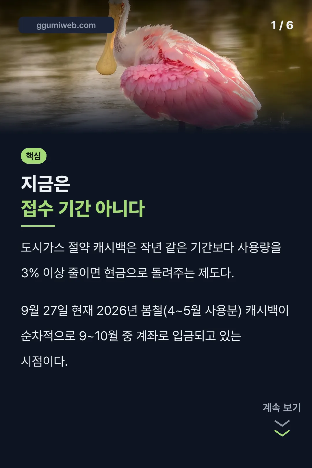 지금은 접수 기간 아니다