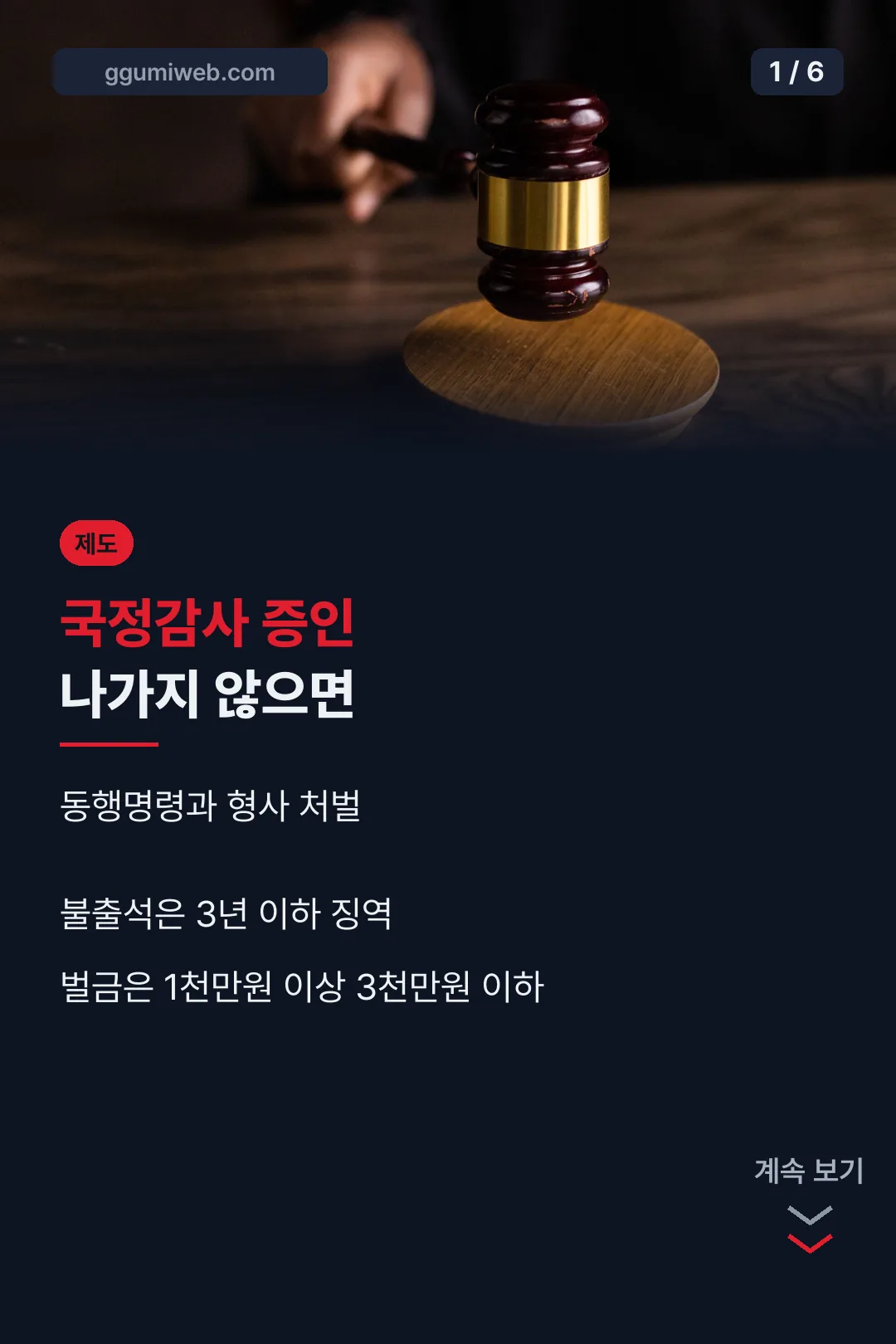 국정감사 증인 절차 표지
