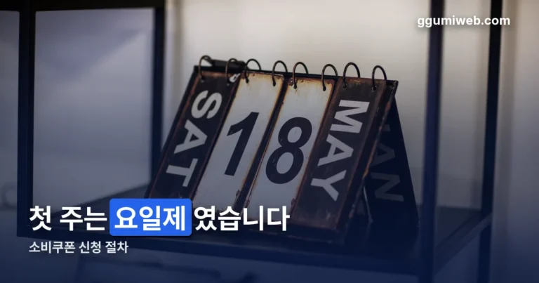 민생회복 소비쿠폰 신청 절차 정리 썸네일