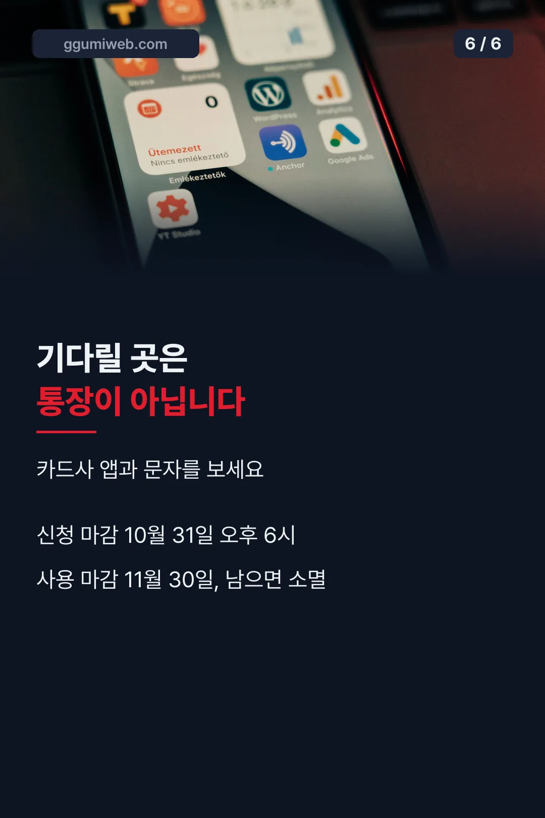 확인은 카드사 앱에서
