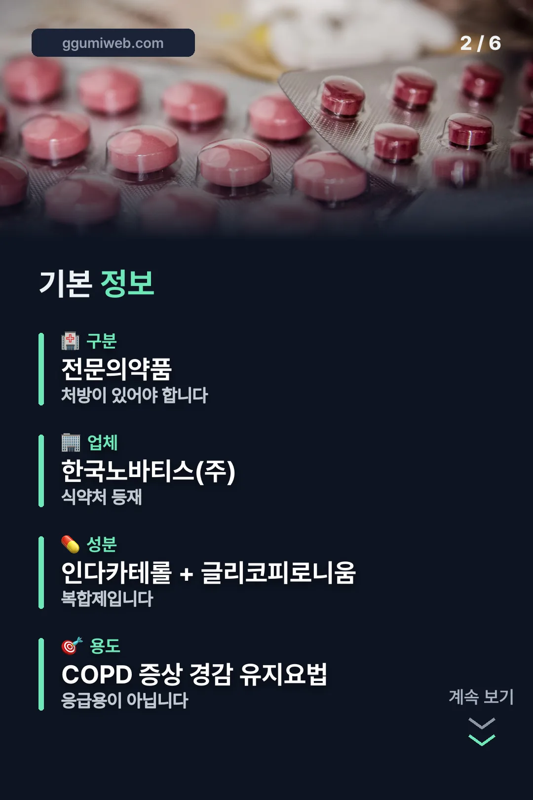 허가사항 기본 정보