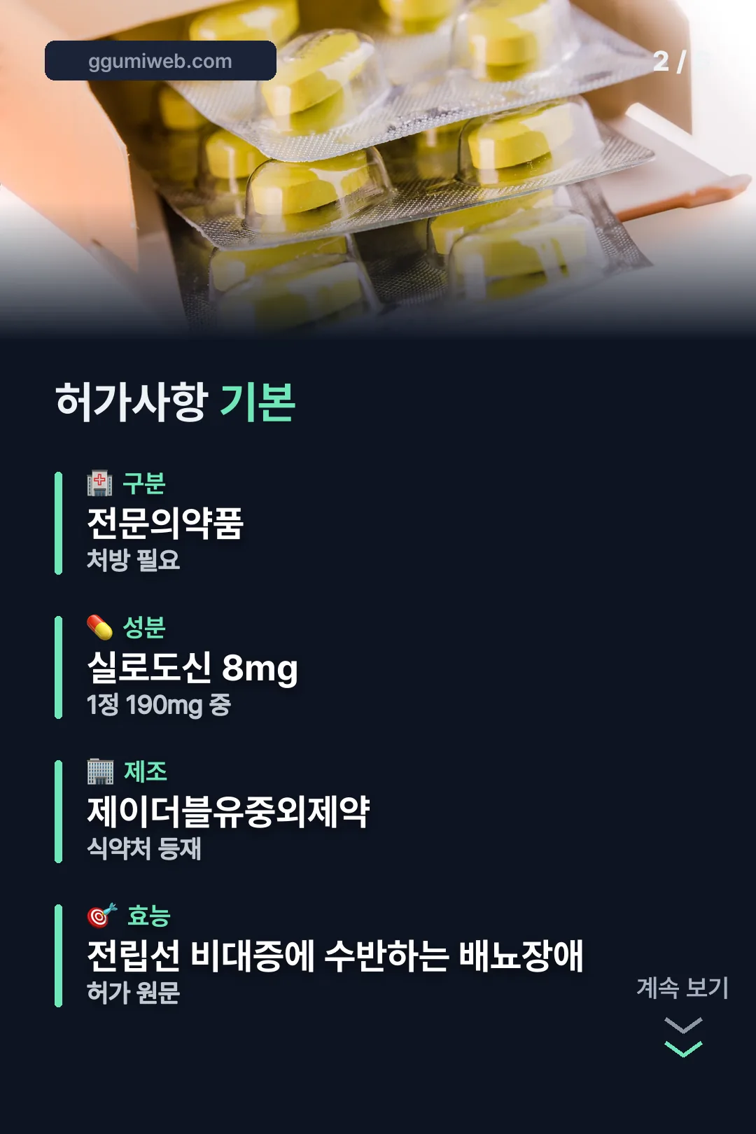 허가사항 기본 정보