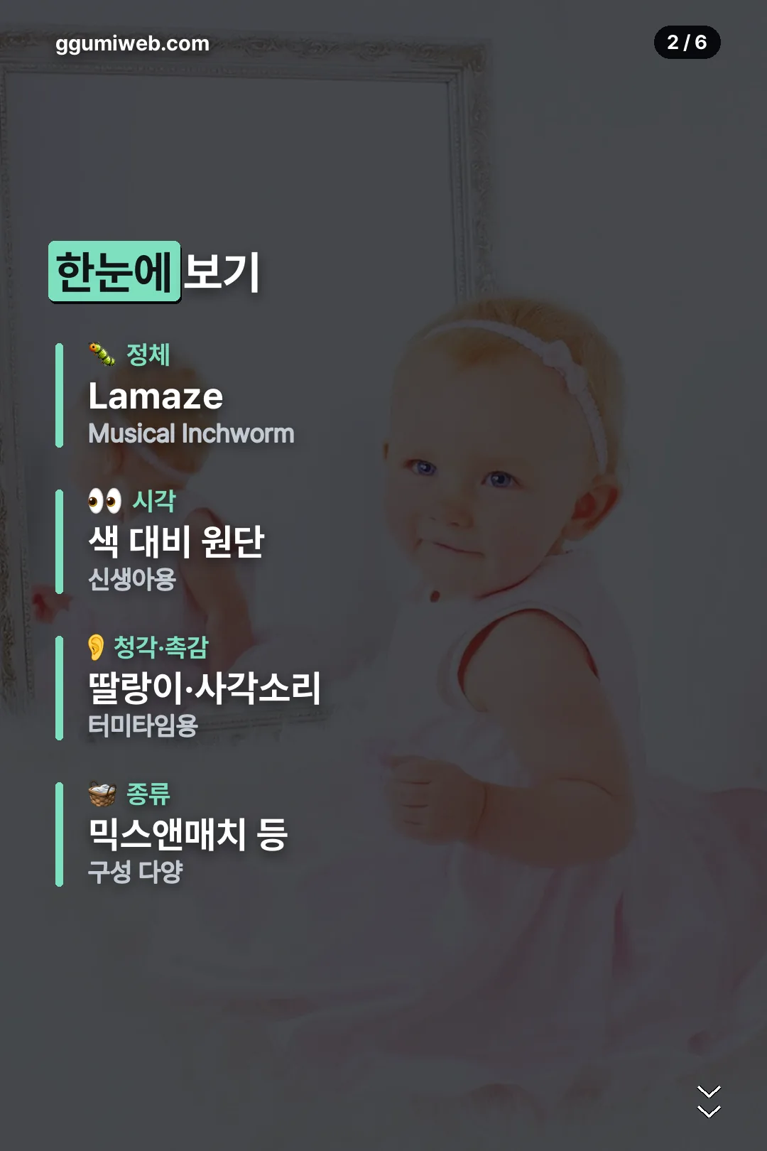 제품 요약