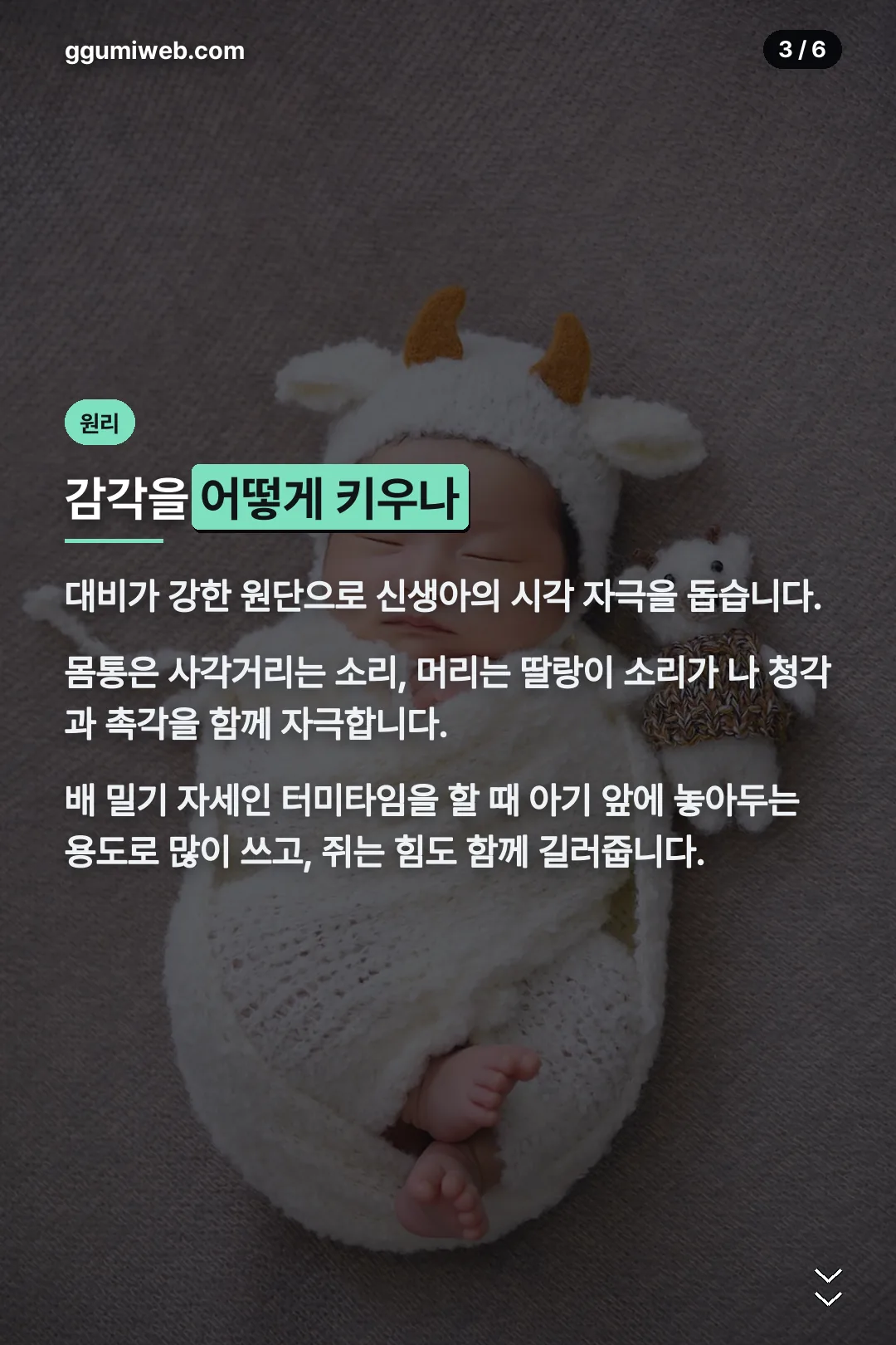 감각 발달 원리