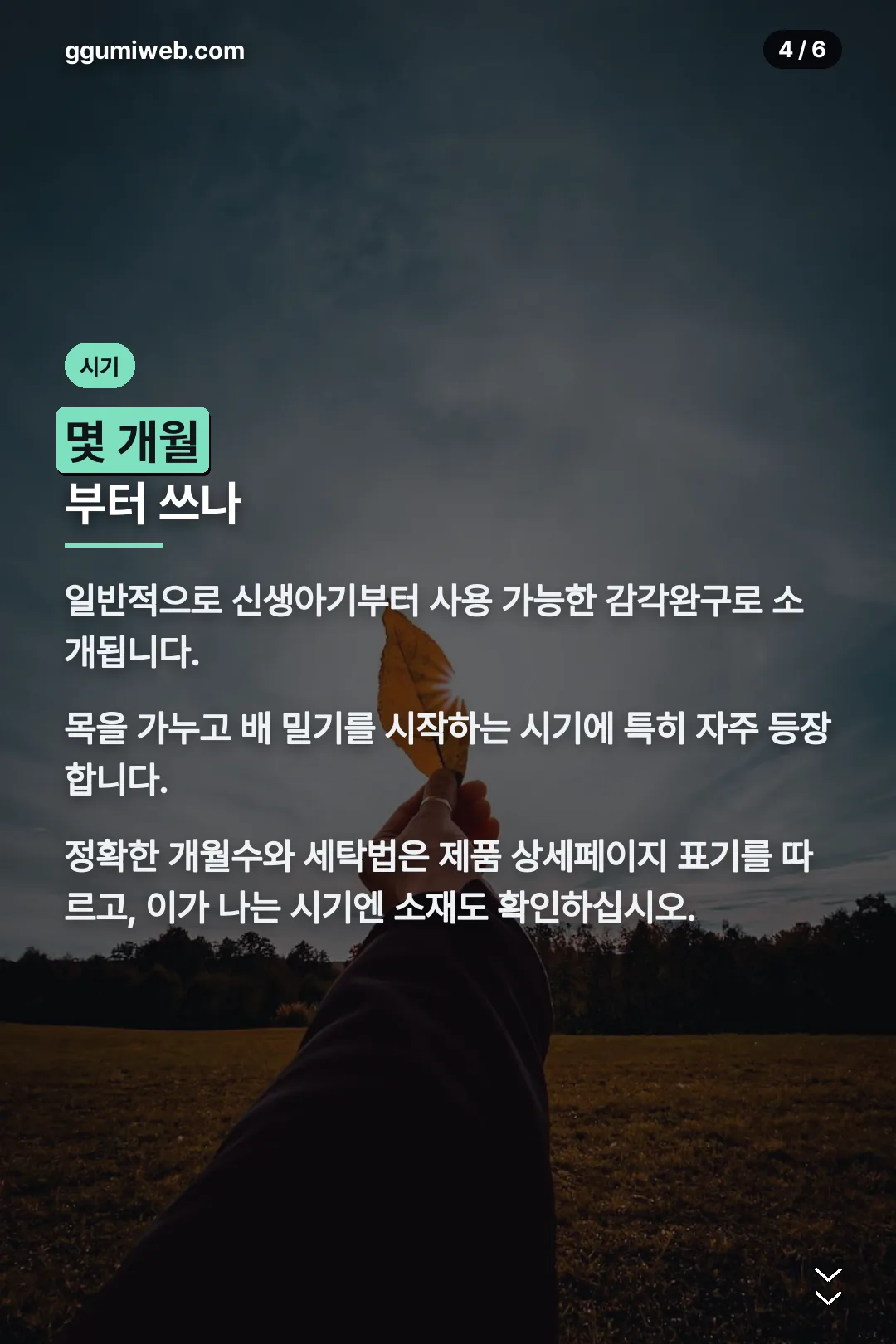 사용 시기