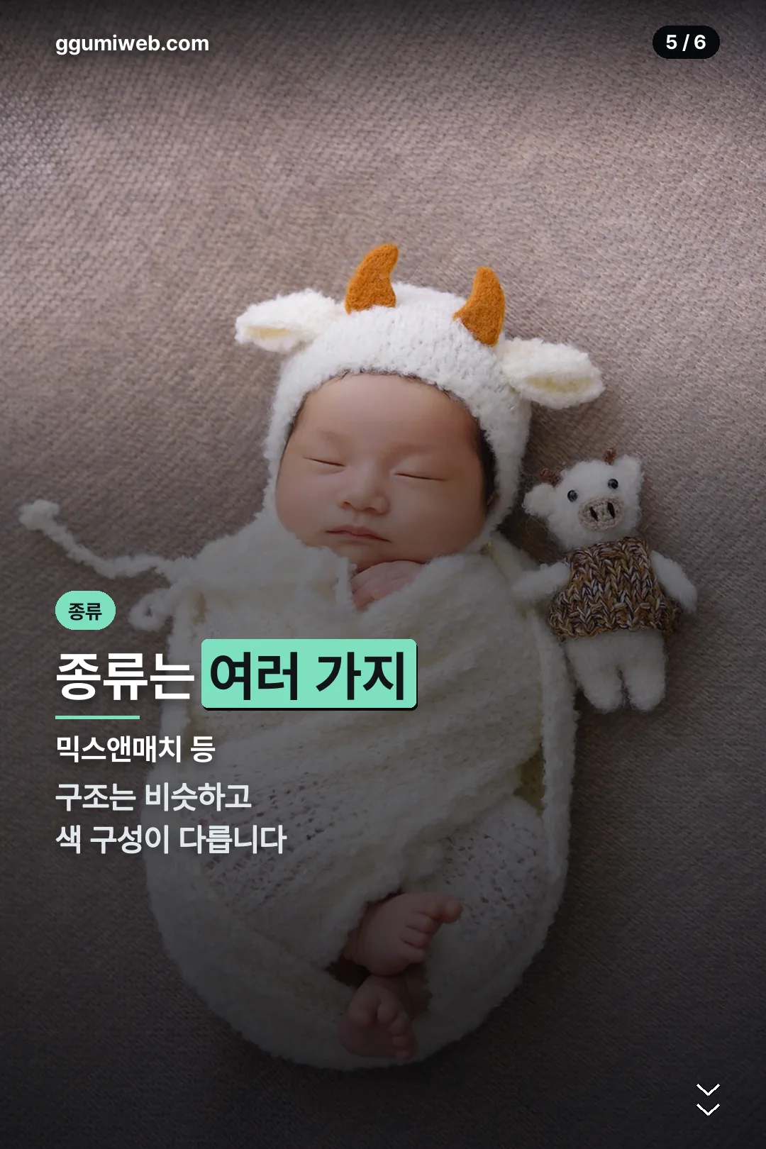 종류 소개