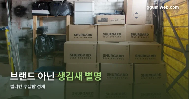 펠리컨 수납함 정리 썸네일