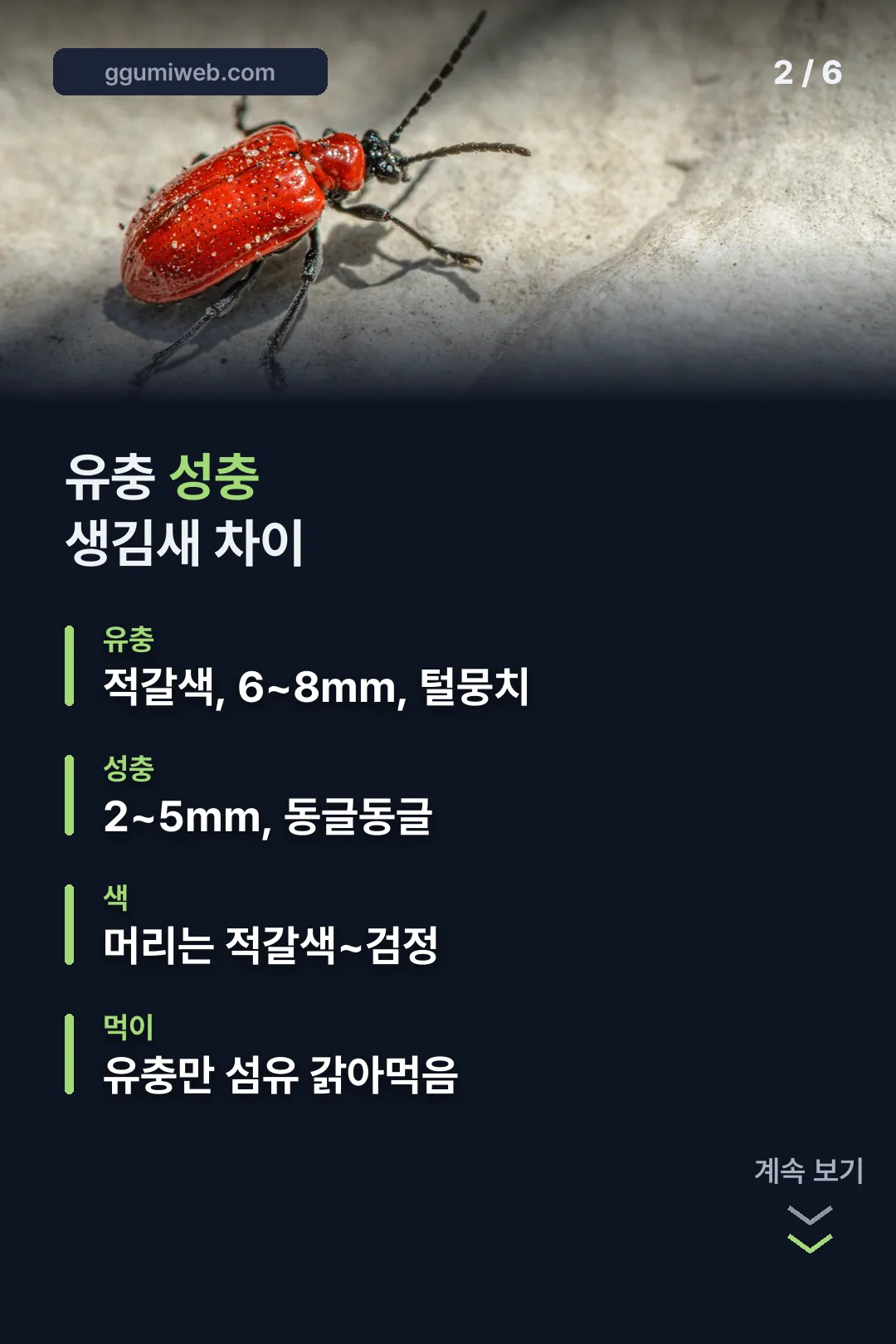 유충과 성충 생김새 차이