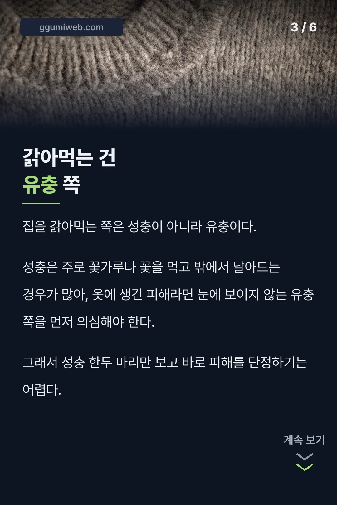 갉아먹는 건 유충 쪽