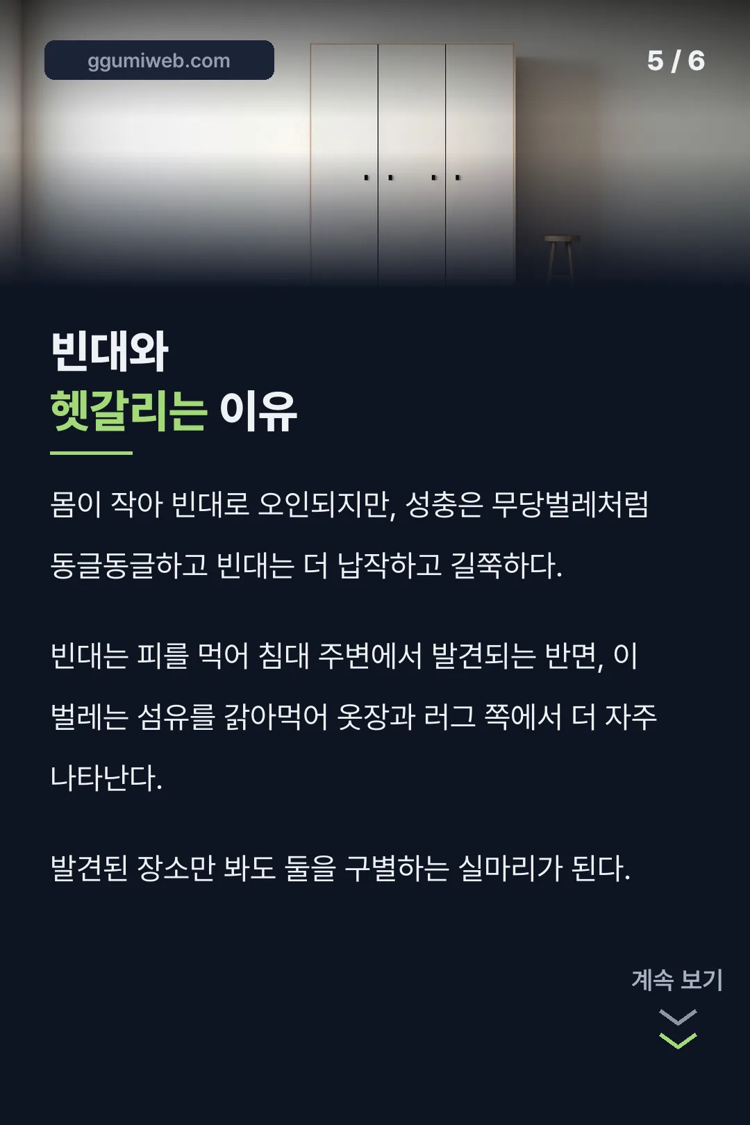 빈대와 헷갈리는 이유