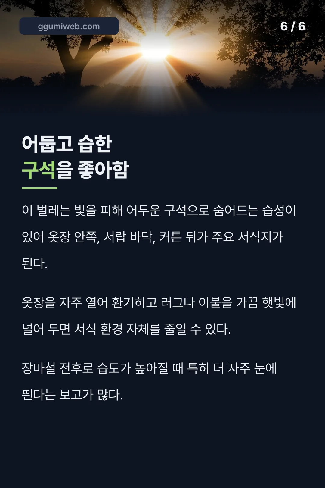 어둡고 습한 구석을 좋아함