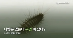 수시렁이 애벌레 생김새와 피해 — 빈대와 구별하는 법