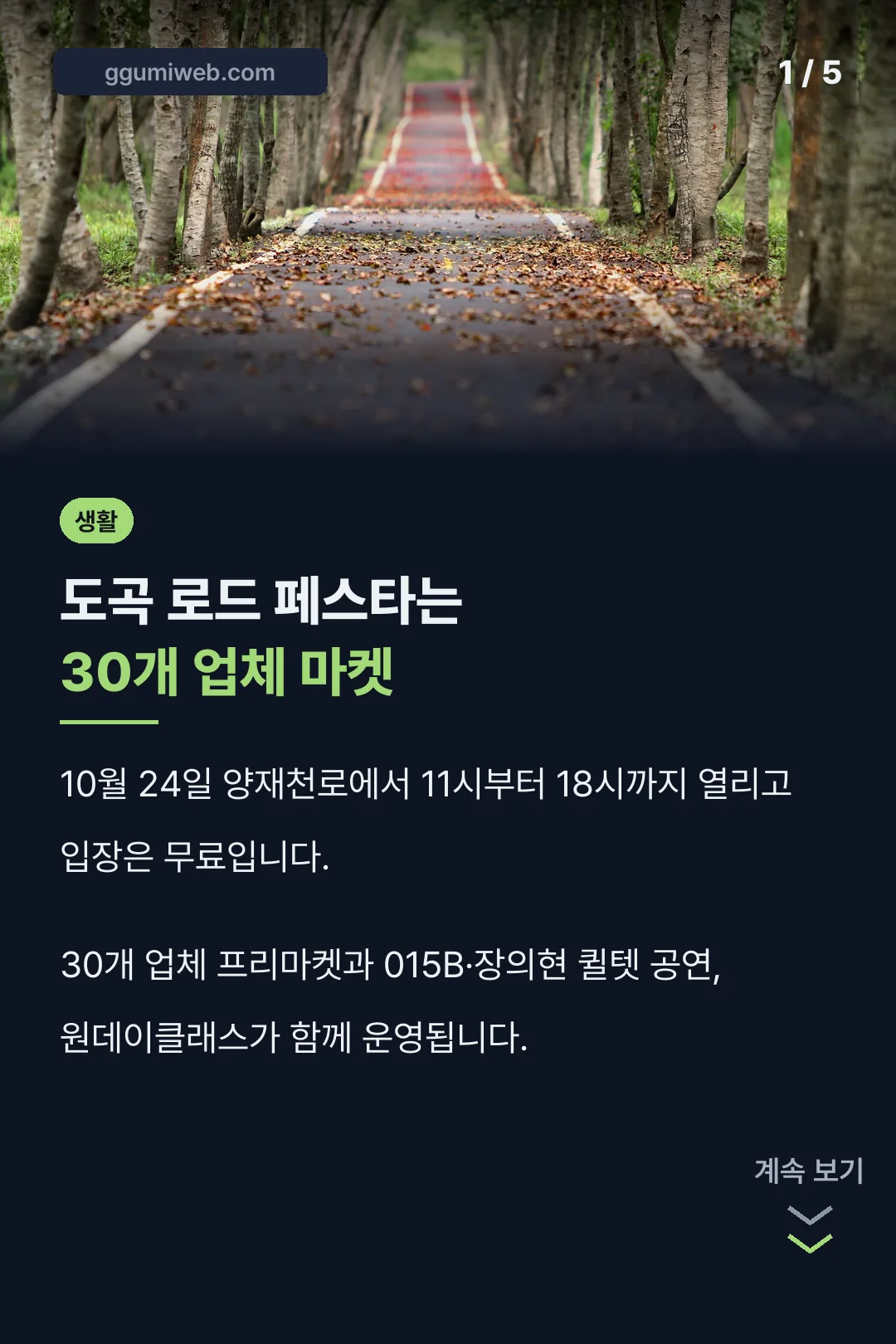 도곡 로드 페스타 핵심 정리