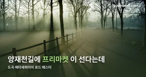 도곡 메타세쿼이아 로드 페스타 2026 — 10월 24일, 양재천 마켓·공연 정리