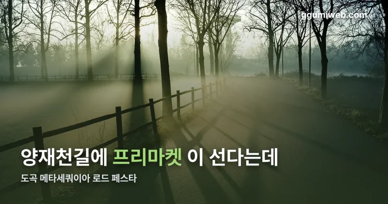도곡 메타세쿼이아 로드 페스타 정리 썸네일