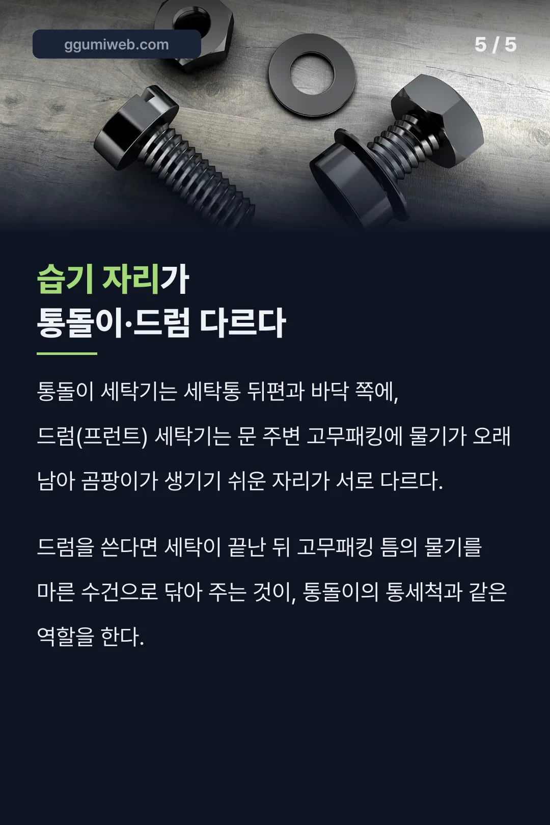 통돌이·드럼 곰팡이 자리 비교