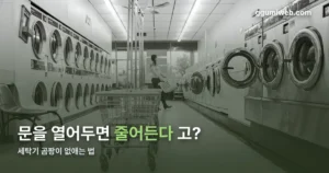 세탁기 곰팡이 없애는 법 — 통세척부터 예방 습관까지