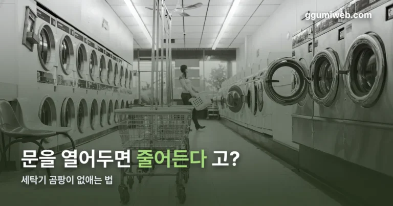 세탁기 곰팡이 정리 썸네일